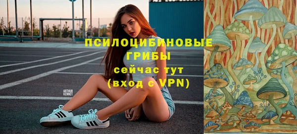 МДПВ Белокуриха