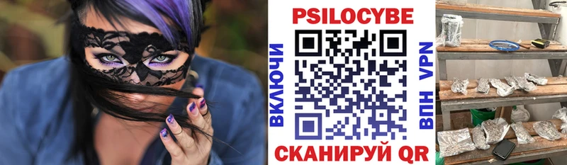 Псилоцибиновые грибы Psilocybe  где продают наркотики  Городец 